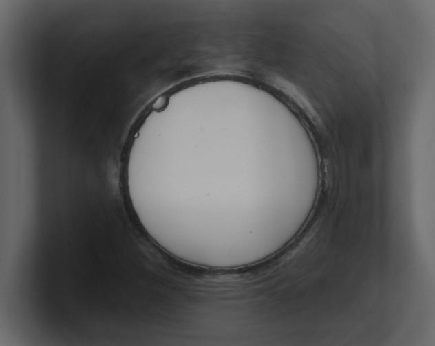 X0000100911260200807151131