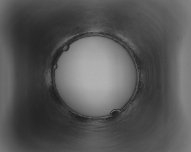 X0000100911262200807151131