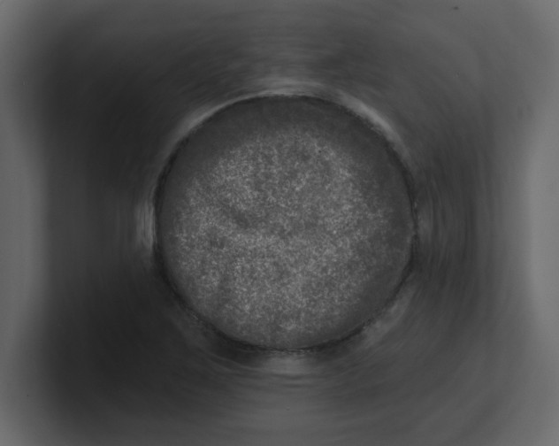 X0000100911267200807151131