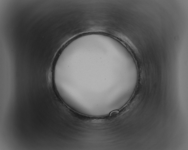 X0000100911268200807151131