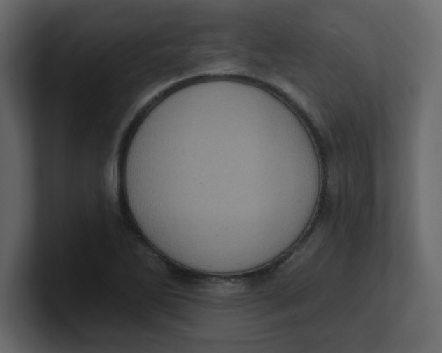 X0000100911270200807151131