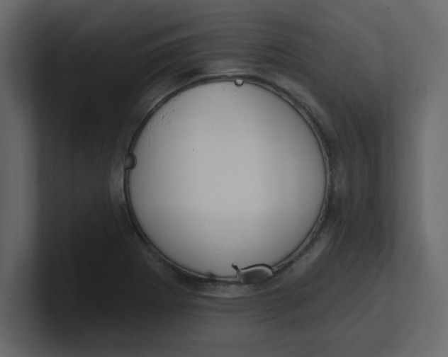 X0000100911273200807151131