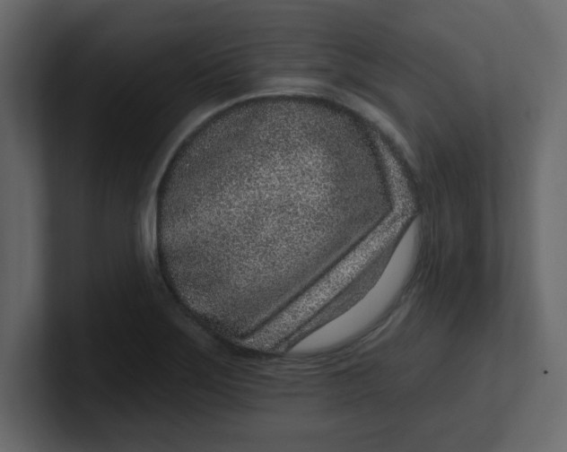 X0000100911275200807151131