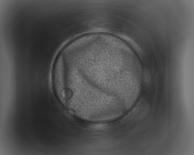 X0000100911278200807151131