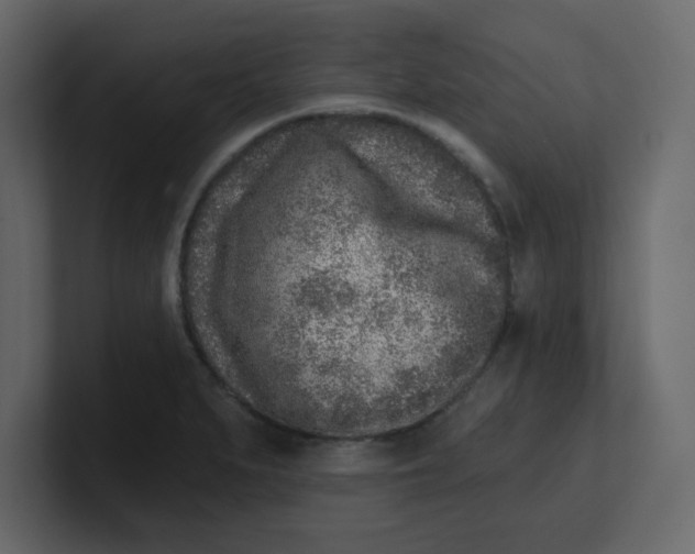 X0000100911279200807151131