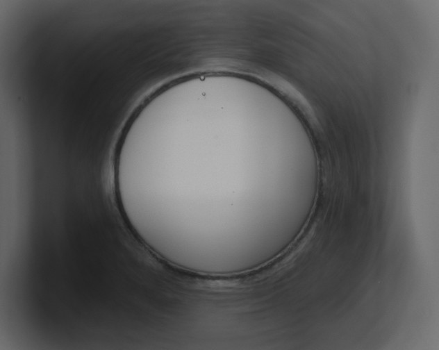 X0000100911280200807151131