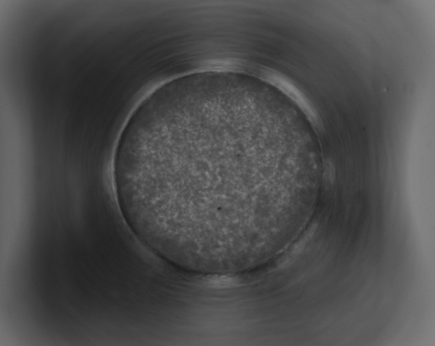 X0000100911283200807151131