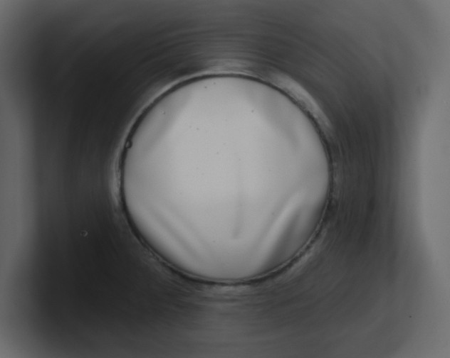 X0000100911284200807151131