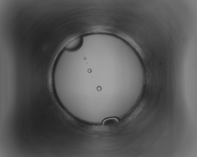 X0000100911285200807151131