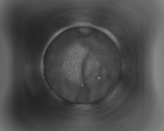 X0000100911287200807151131