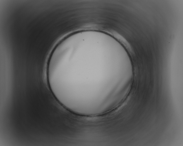 X0000100911288200807151131