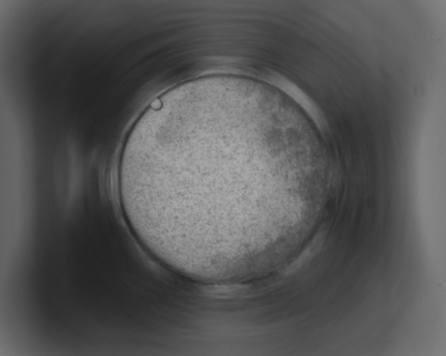 X0000100911290200807151131