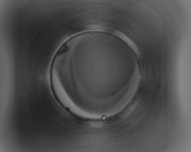 X0000100911291200807151131