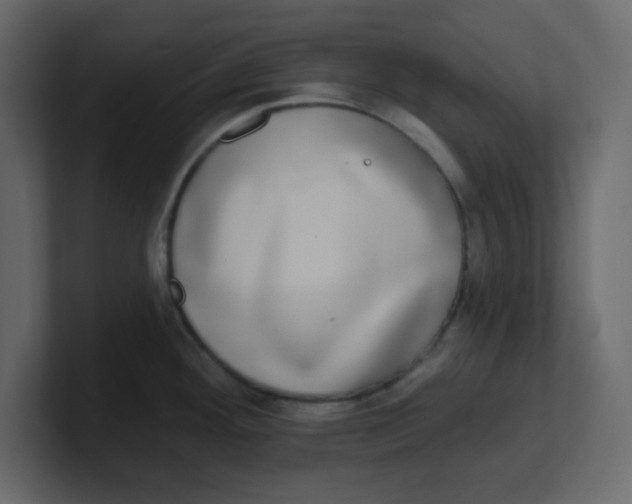 X0000100911292200807151131