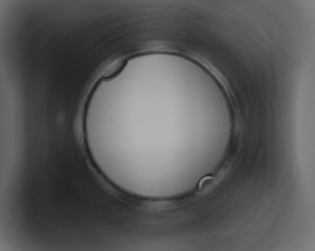 X0000100911293200807151131