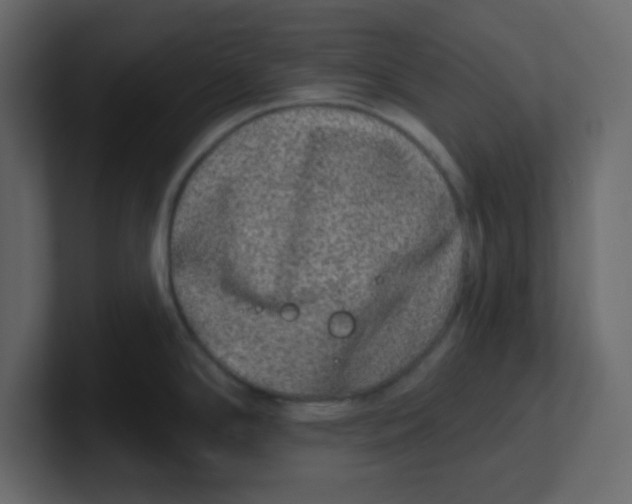 X0000100911294200807151131