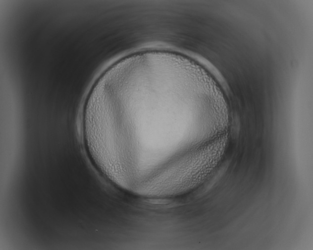 X0000100911295200807151131