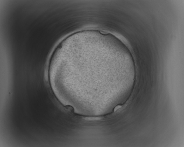 X0000100911296200807151131