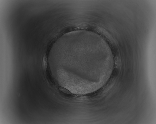 X0000100911298200807151130