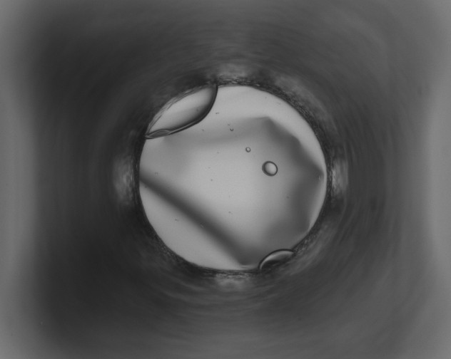 X0000100911299200807151130