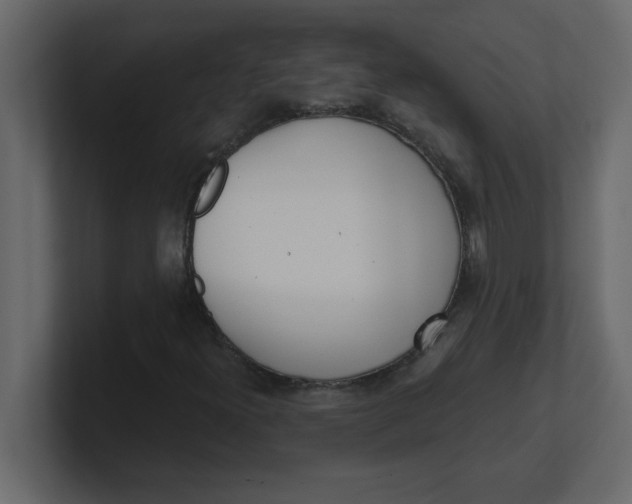 X0000100911300200807151130