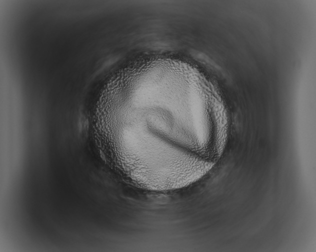 X0000100911302200807151130