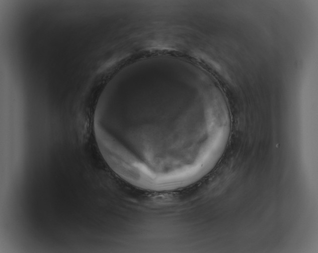 X0000100911303200807151130