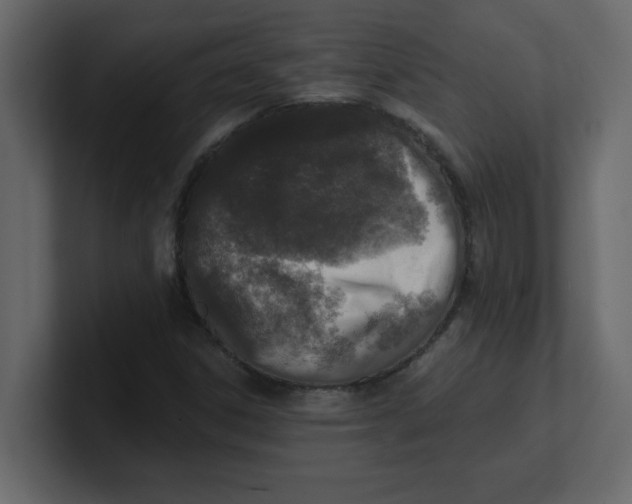 X0000100911306200807151130