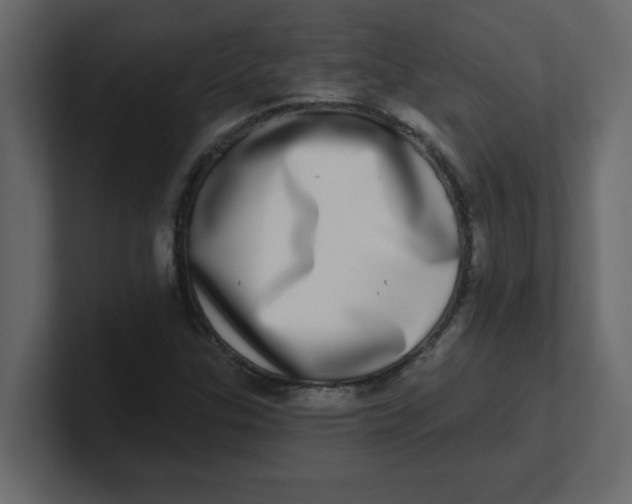 X0000100911307200807151130