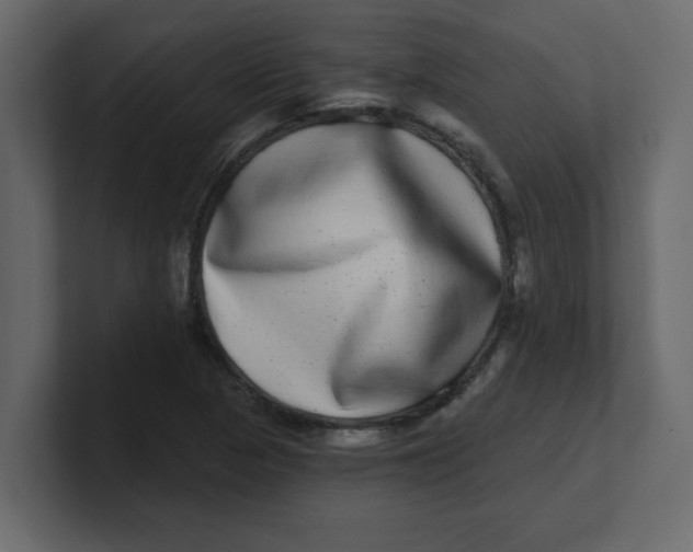 X0000100911313200807151130