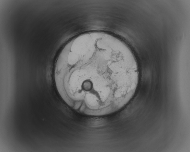 X0000100911314200807151130