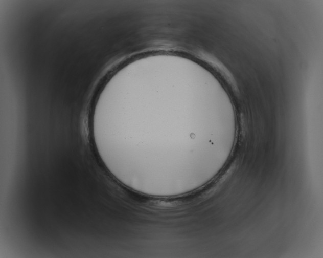 X0000100911318200807151130