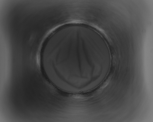 X0000100911319200807151130