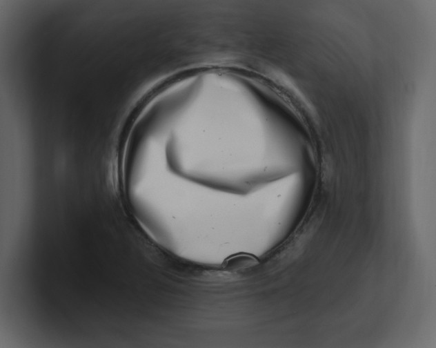 X0000100911320200807151130