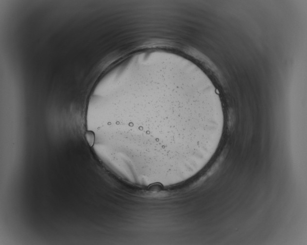 X0000100911321200807151130