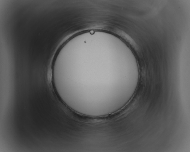 X0000100911324200807151130