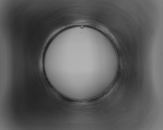 X0000100911328200807151130