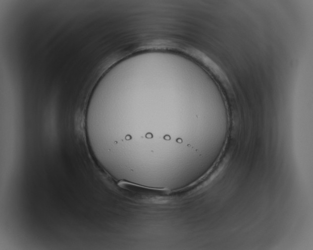 X0000100911329200807151130