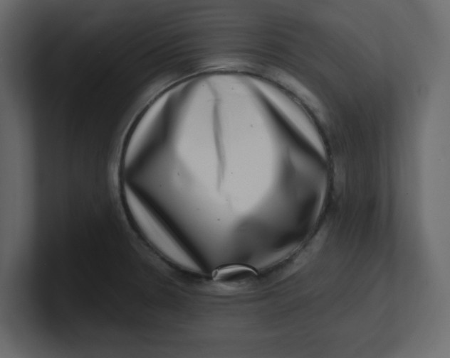 X0000100911330200807151130