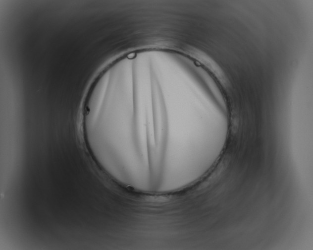 X0000100911332200807151130