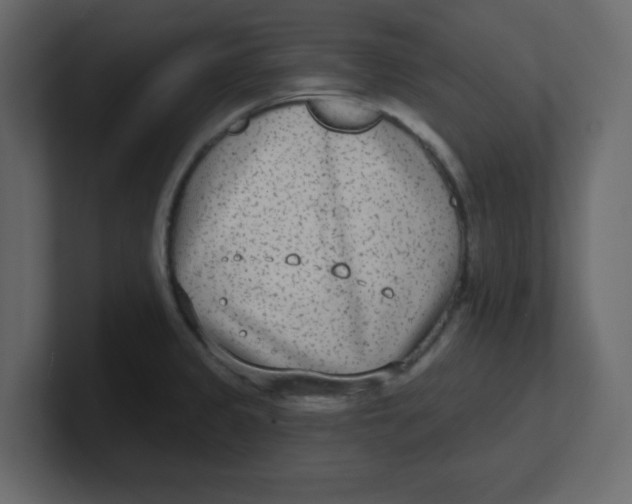 X0000100911333200807151130