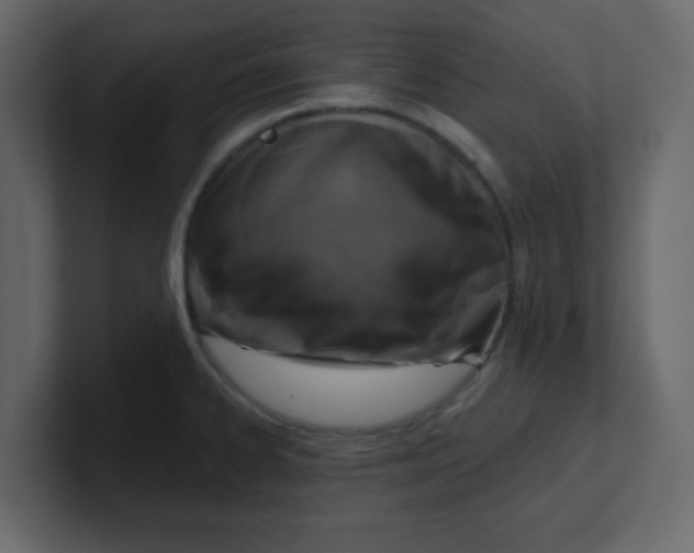 X0000100911334200807151130