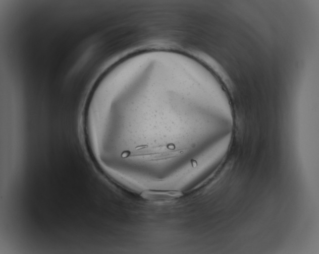 X0000100911335200807151130