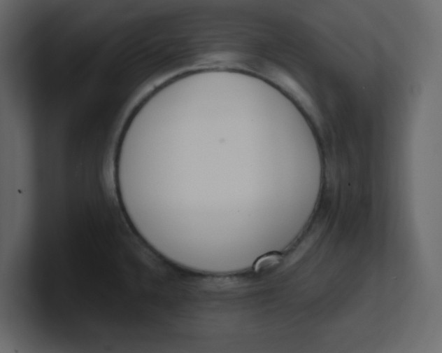 X0000100911336200807151130