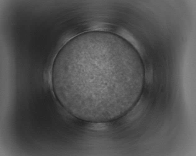 X0000100911338200807151130