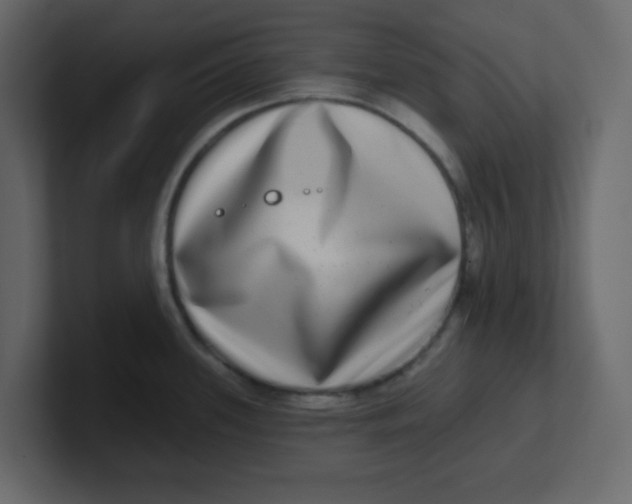 X0000100911339200807151130