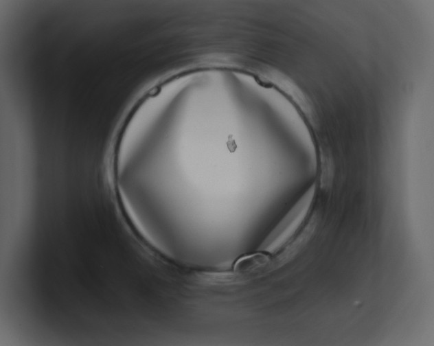 X0000100911342200807151130