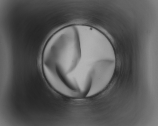X0000100911343200807151130