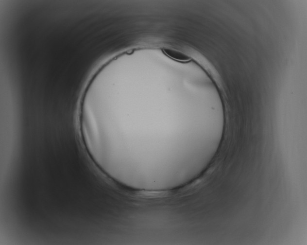 X0000100911344200807151131