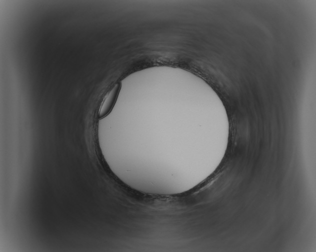 X0000100911345200807151130